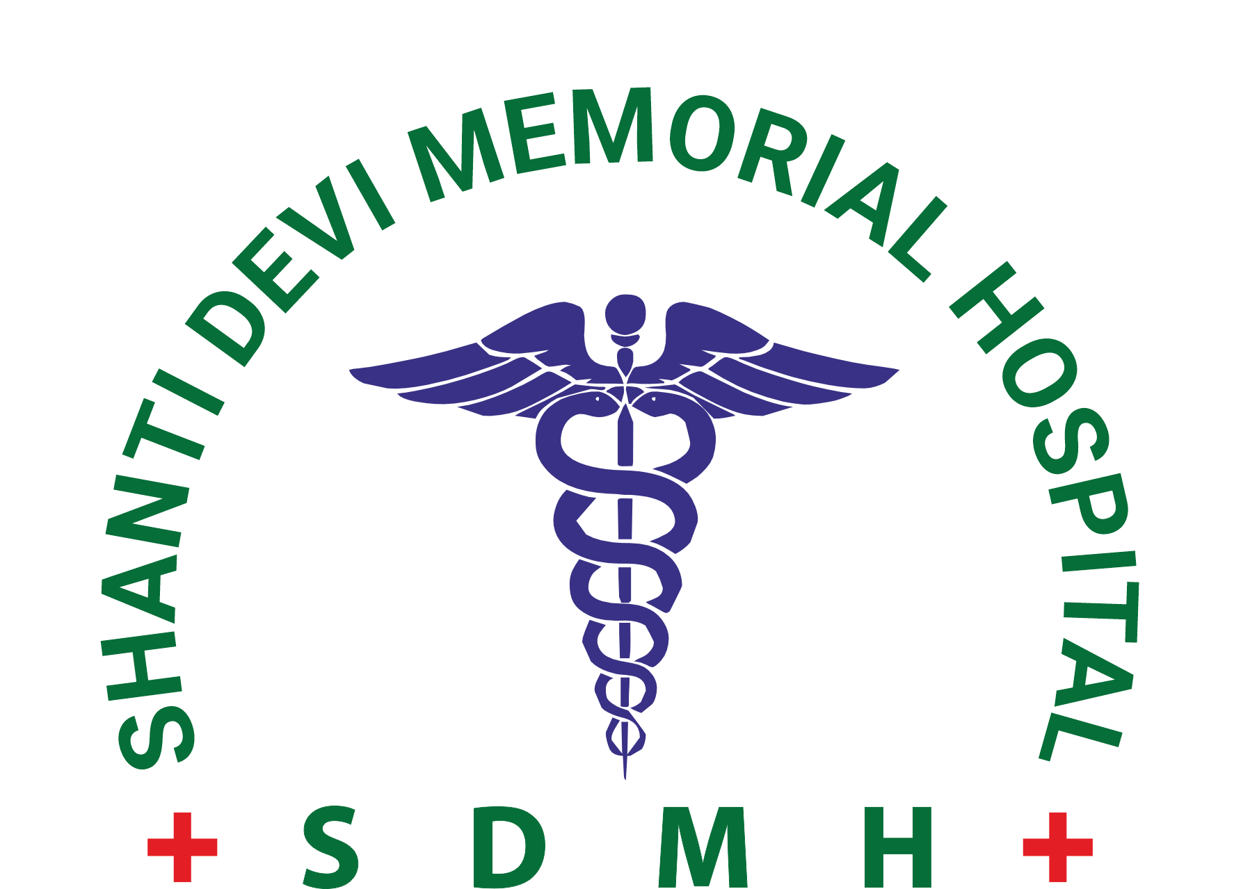 Hospital Logo